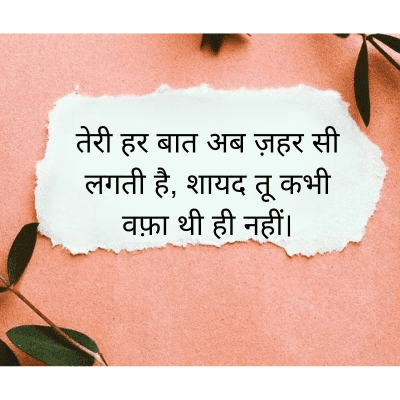 तेरी हर बात अब ज़हर सी
लगती है, शायद तू कभी
वफ़ा थी ही नहीं।