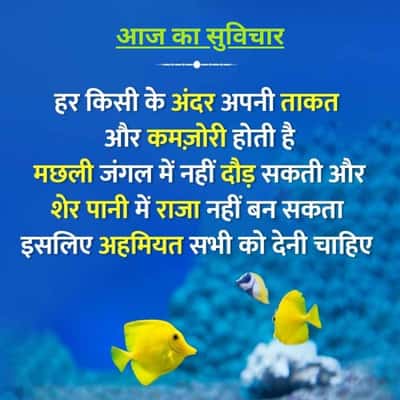 आज का सुविचार
हर किसी के अंदर अपनी ताकत
और कमज़ोरी होती है
मछली जंगल में नहीं दौड़ सकती और
शेर पानी में राजा नहीं बन सकता
इसलिए अहमियत सभी को देनी चाहिए