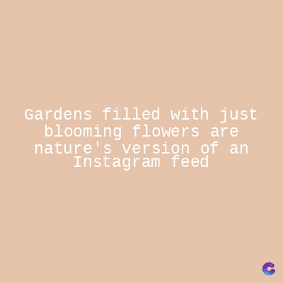 Gardens filled with just
blooming flowers are
nature's version of an
Instagram feed