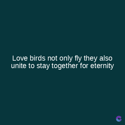 Love birds not only fly they also
unite to stay together for eternity