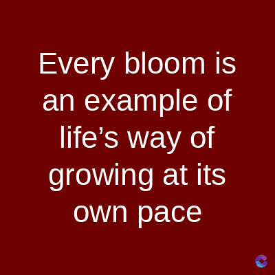 Every bloom is
an example of
life's way of
growing at its
own pace