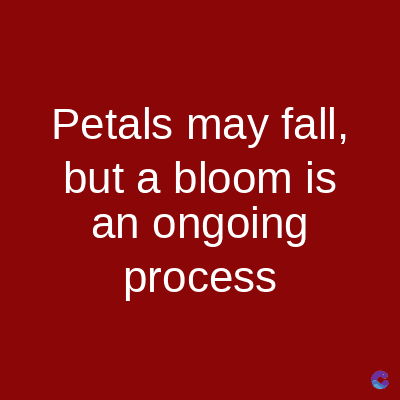 Petals may fall,
but a bloom is
an ongoing
process