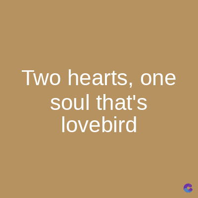Two hearts, one
soul that's
lovebird