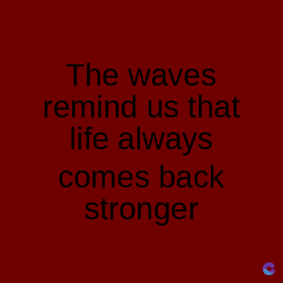 The waves
remind us that
life always
comes back
stronger
