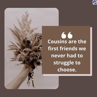 66
Cousins are the
first friends we
never had to
struggle to
choose.
C