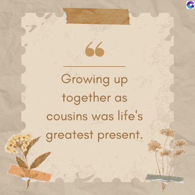 66
Growing up
together as
cousins was life's
greatest present.
C