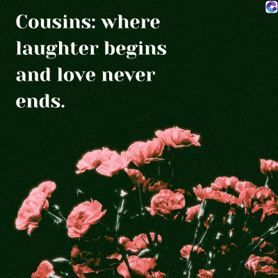 Cousins: where
laughter begins
and love never
ends.
0