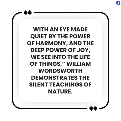 WITH AN EYE MADE
QUIET BY THE POWER
OF HARMONY, AND THE
DEEP POWER OF JOY,
WE SEE INTO THE LIFE
OF THINGS," WILLIAM
WORDSWORTH
DEMONSTRATES THE
SILENT TEACHINGS OF
NATURE.
C