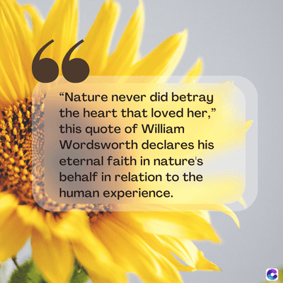 66
"Nature never did betray
the heart that loved her,"
this quote of William
Wordsworth declares his
eternal faith in nature's
behalf in relation to the
human experience.