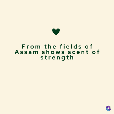 From the fields of
Assam shows scent of
strength
C