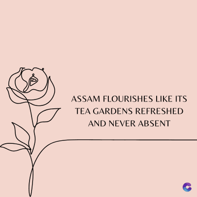 ASSAM FLOURISHES LIKE ITS
TEA GARDENS REFRESHED
AND NEVER ABSENT
C