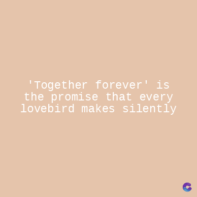 'Together forever' is
the promise that every
lovebird makes silently