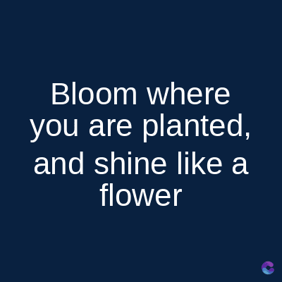 Bloom
where
you are planted,
and shine like a
flower