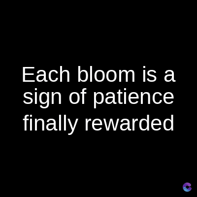 Each bloom is a
sign of patience
finally rewarded