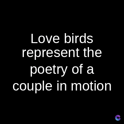 Love birds
represent the
poetry of a
couple in motion