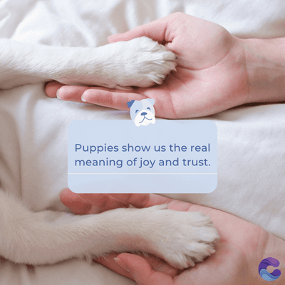 Puppies show us the real
meaning of joy and trust.