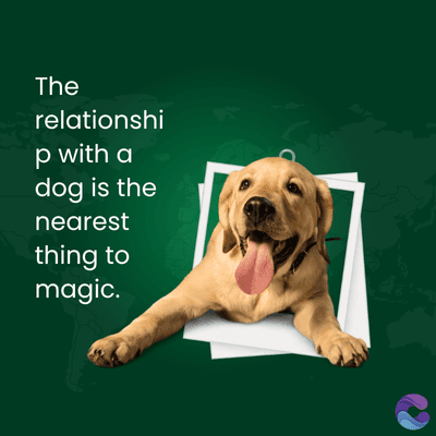 The
relationshi
p with a
dog is the
nearest
thing to
magic.