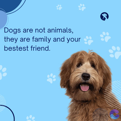 Dogs are not animals,
they are family and your
bestest friend.