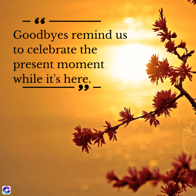 - 6
Goodbyes remind us
to celebrate the
present moment
while it's here.
99-
0