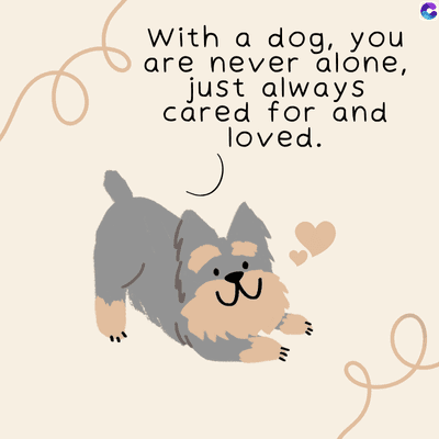 With a dog, you
are never alone,
just always
cared for and
loved.
C