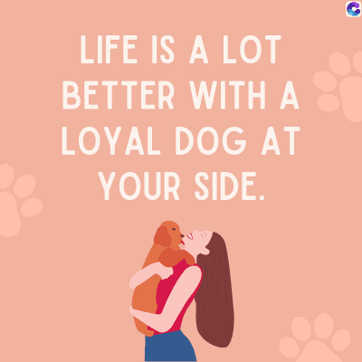 LIFE IS A LOT
BETTER WITH A
LOYAL DOG AT
YOUR SIDE.
C