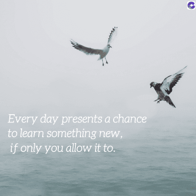 Every day presents a chance
to learn something new,
if only you allow it to.