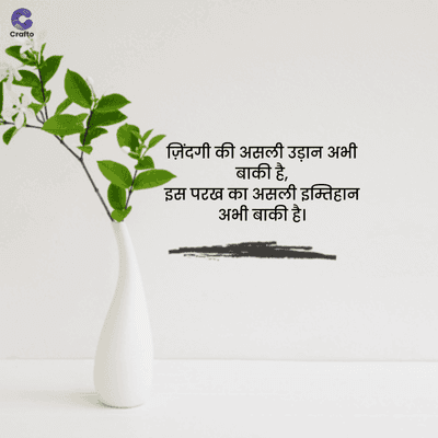 Crafte
ज़िंदगी की असली उड़ान अभी
बाकी है,
इस परख का असली इम्तिहान
अभी बाकी है।