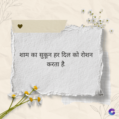 शाम का सुकून हर दिल को रोशन
करता है.