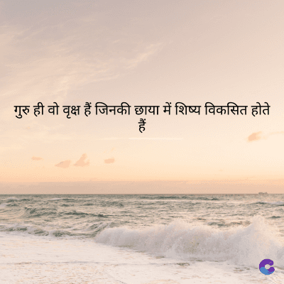गुरु ही वो वृक्ष हैं जिनकी छाया में शिष्य विकसित होते
हैं