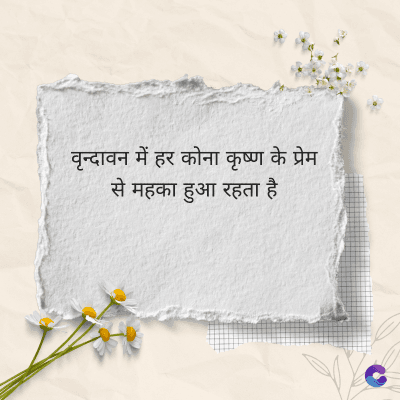 वृन्दावन में हर कोना कृष्ण के प्रेम
से महका हुआ रहता है