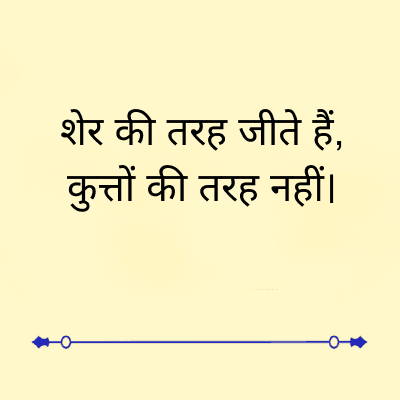 शेर की तरह जीते हैं,
कुत्तों की तरह नहीं।