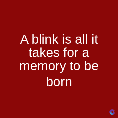 A blink is all it
takes for a
memory to be
born