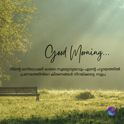 Good Morning....
നിന്റെ ഒന്ന്ാാക്കി ഓരോ സൂര്യോദ്യയവും എന്റെ ഹൃദയത്തിൽ
പ്രണയത്തിൻറെ കിരണങ്ങൾ നിറയ്ക്കട്ടെ സുപ്ര