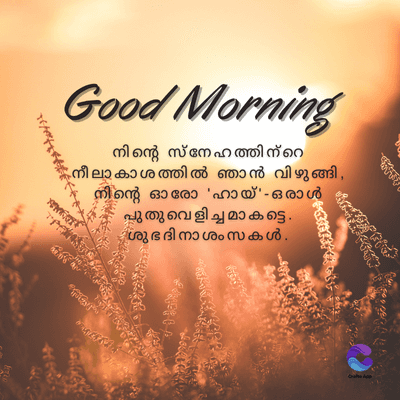 Good Morning
നിന്റെ സ്നേഹത്തിന്റെ
നീലാകാശത്തിൽ ഞാൻ വിഴുങ്ങി,
നിന്റെ ഓരോ 'ഹായ്' - ഒരാൾ
പുതു വെളിച്ചമാകട്ടെ.
ശുഭ ദി നാ ശംസകൾ.
wwwww
CatsAp
