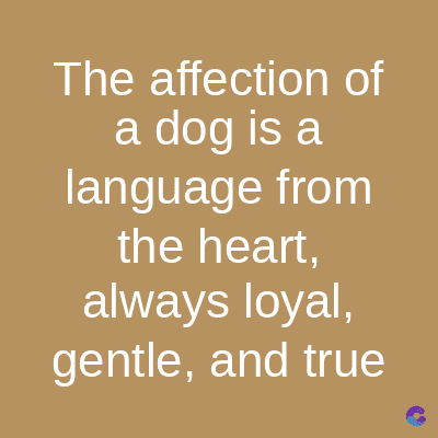 The affection of
a dog is a
language from
the heart,
always loyal,
gentle, and true