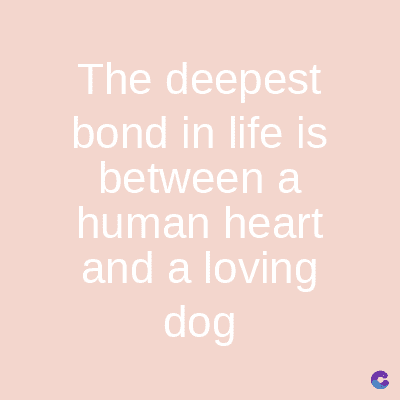 The deepest
bond in life is
between a
human heart
and a loving
dog
C