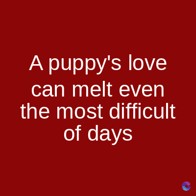 A puppy's love
can melt even
the most difficult
of days