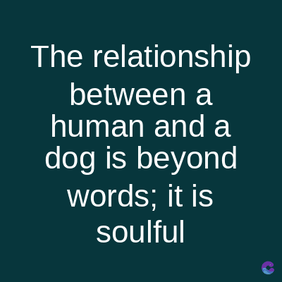The relationship
between a
human and a
dog is beyond
words; it is
soulful