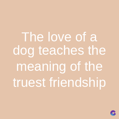 The love of a
dog teaches the
meaning of the
truest friendship