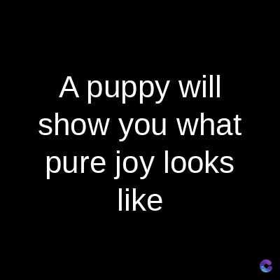 A puppy will
show you what
pure joy looks
like