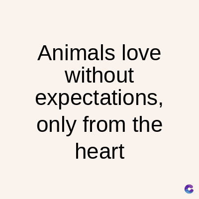 Animals love
without
expectations,
only from the
heart
C
