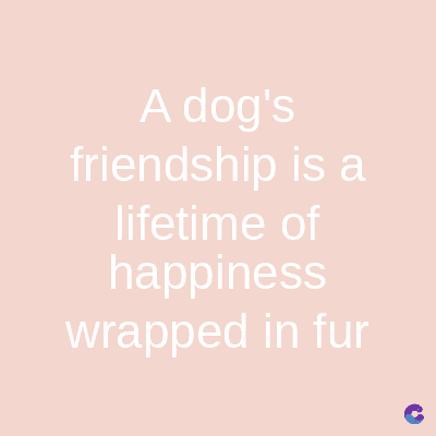 A dog's
friendship is a
lifetime of
happiness
wrapped in fur
C