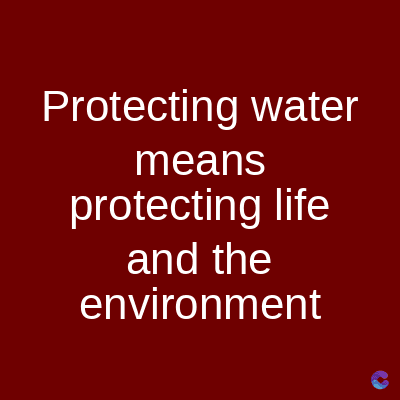 Protecting water
means
protecting life
and the
environment