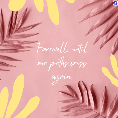 Farewell until
sson syped me
again.
C