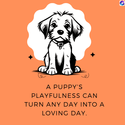 A PUPPY'S
PLAYFULNESS CAN
TURN ANY DAY INTO A
LOVING DAY.
C