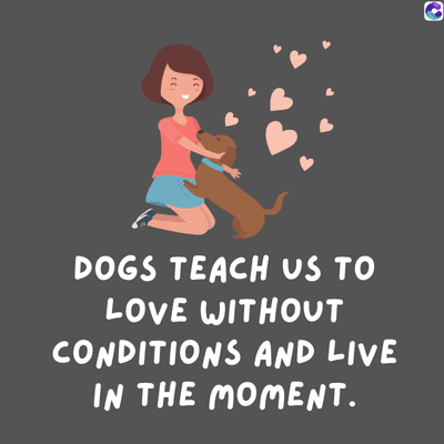 DOGS TEACH US TO
LOVE WITHOUT
CONDITIONS AND LIVE
IN THE MOMENT.
C