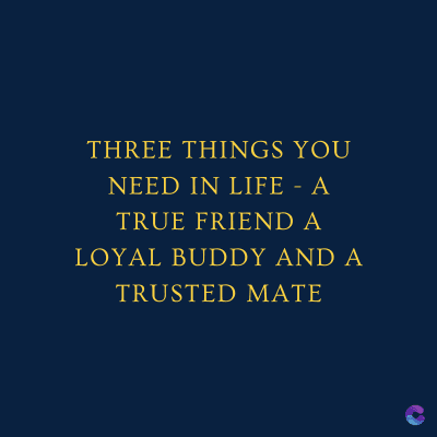 THREE THINGS YOU
NEED IN LIFE - A
TRUE FRIEND A
LOYAL BUDDY AND A
TRUSTED MATE