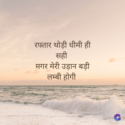 रफ्तार थोड़ी धीमी ही
सही
मगर मेरी उड़ान बड़ी
लम्बी होगी