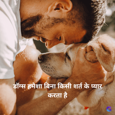 डॉग्स हमेशा बिना किसी शर्त के प्यार
करता है