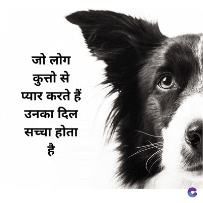 जो लोग
कुत्तो से
प्यार करते हैं
उनका दिल
सच्चा हो
है
fuc